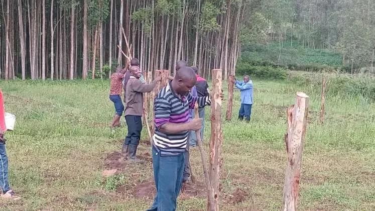News from Kenya 2